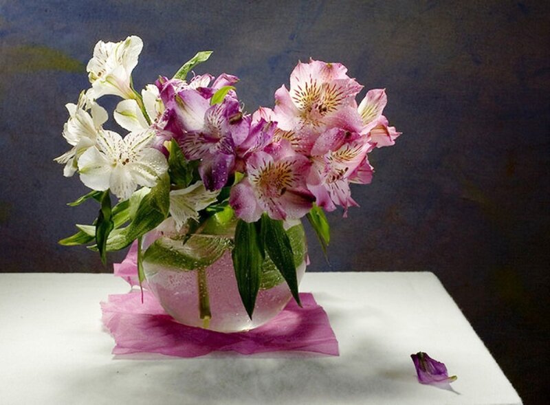 Alstroemeria Flowers in Vase — Purple