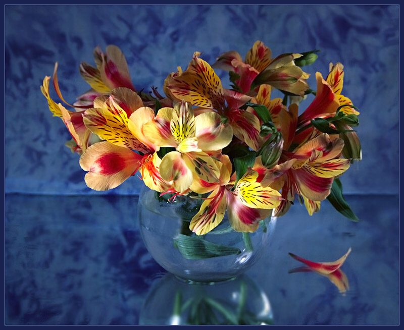 Alstroemeria Flowers in Vase
