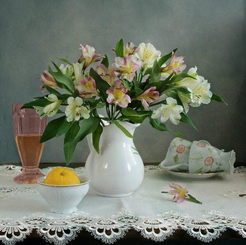 Alstroemeria Flowers in Vase — White, Serene
