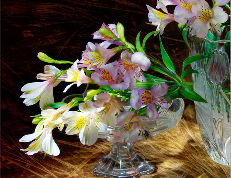 Alstroemeria Flowers in Vase — White
