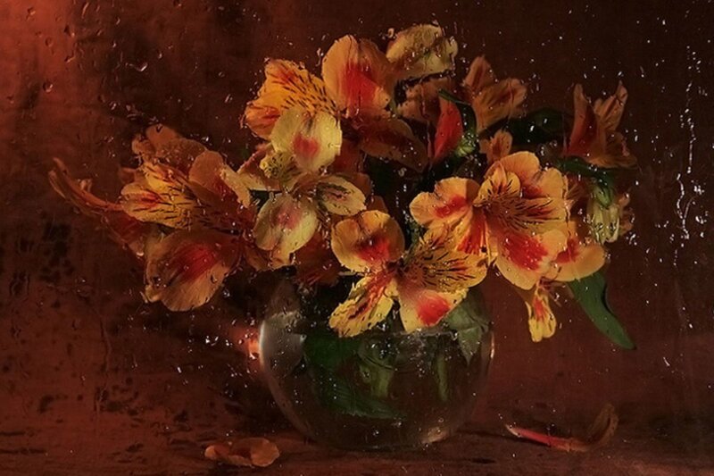 Alstroemeria Flowers in Vase — Yellow