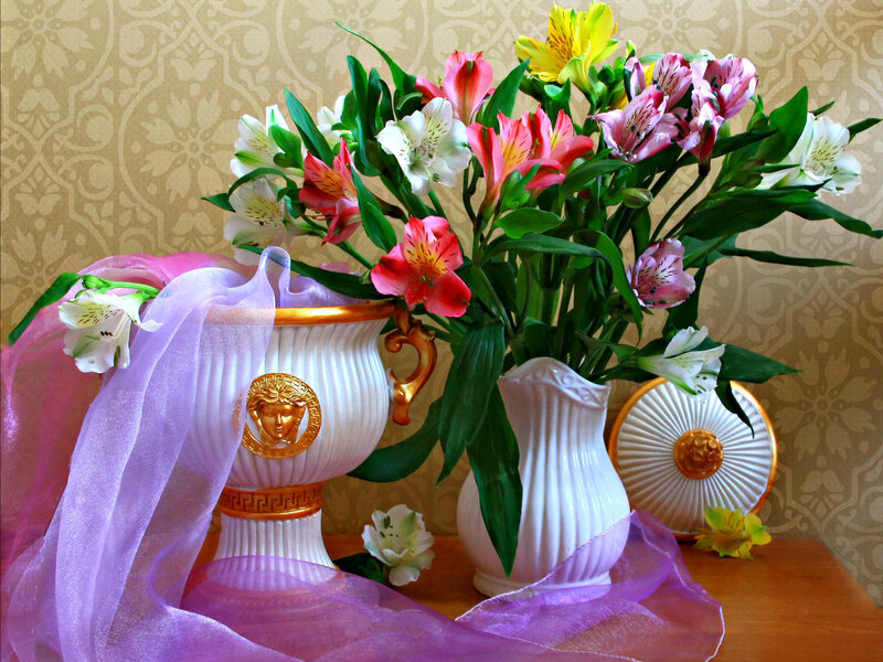 Alstroemeria Flowers in Vases