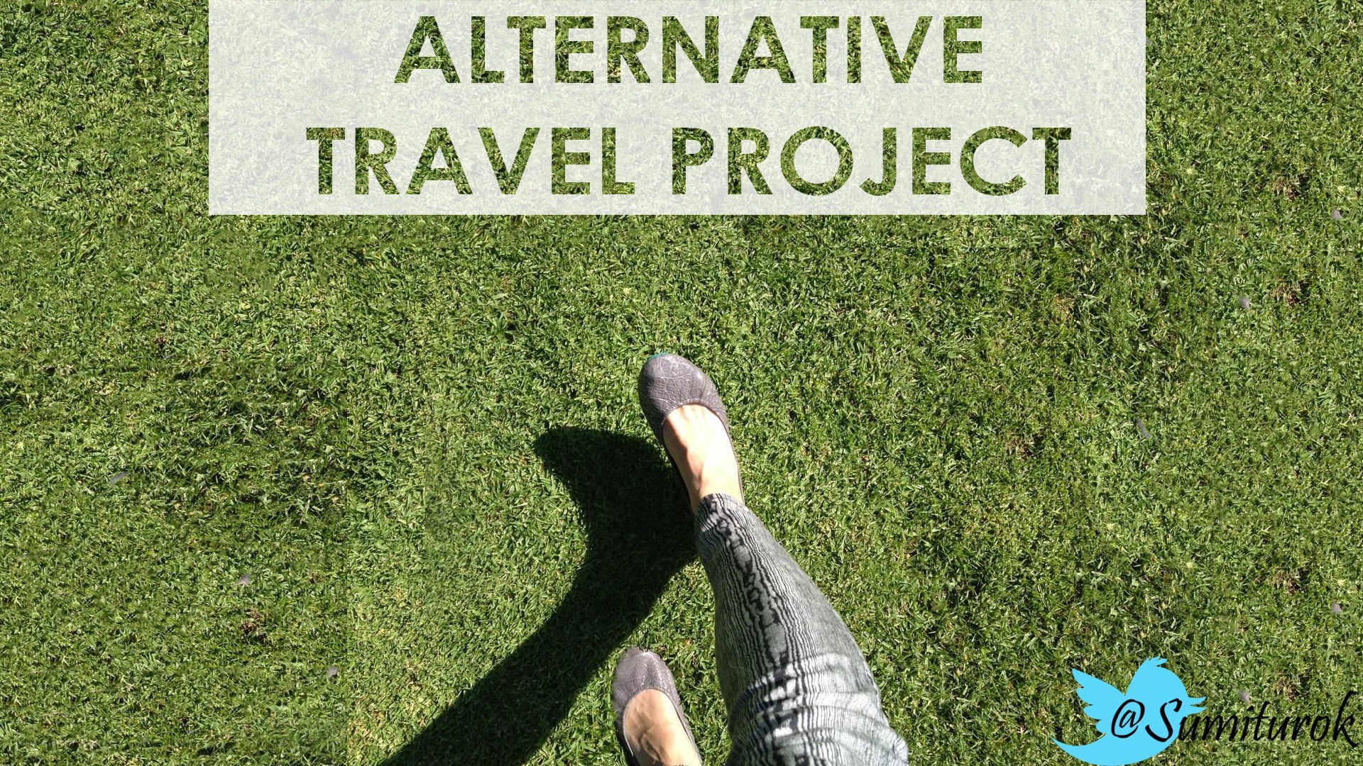alternative travel project