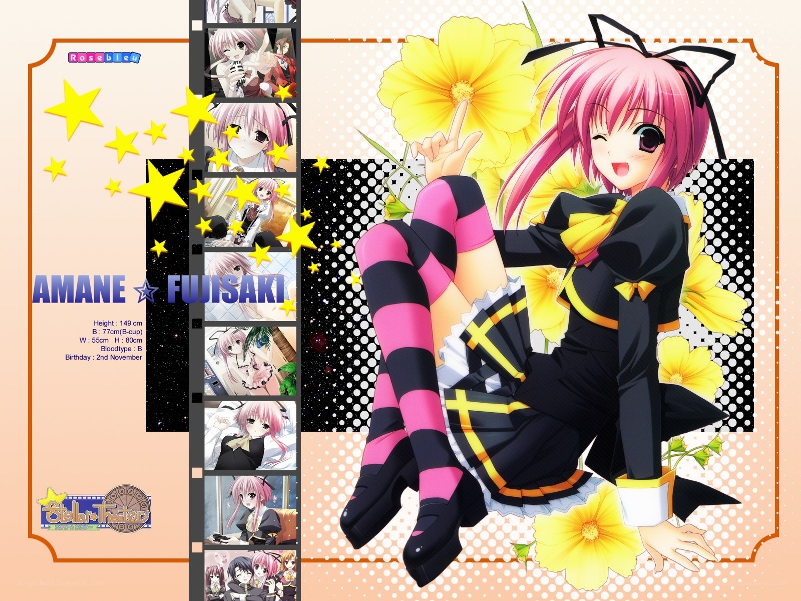 Amane Fujisaki character profile