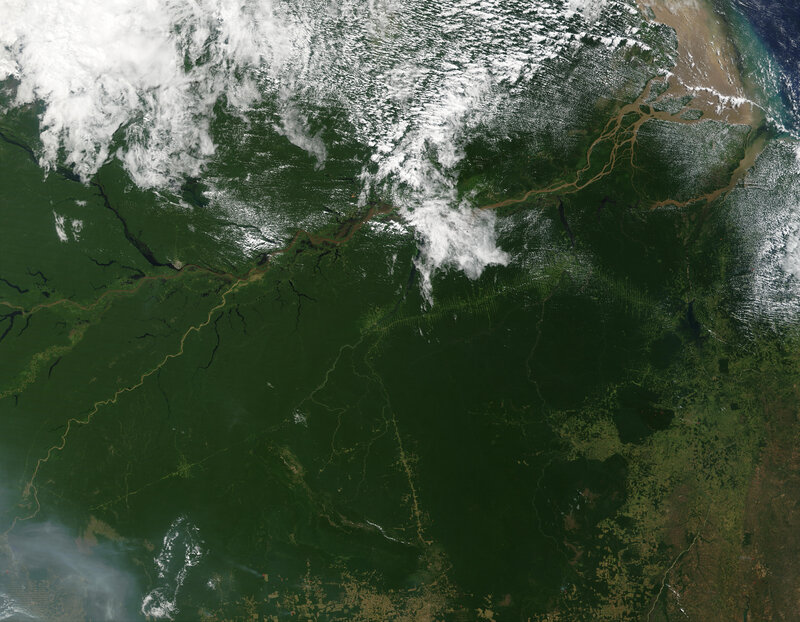 Amazon rainforest from space