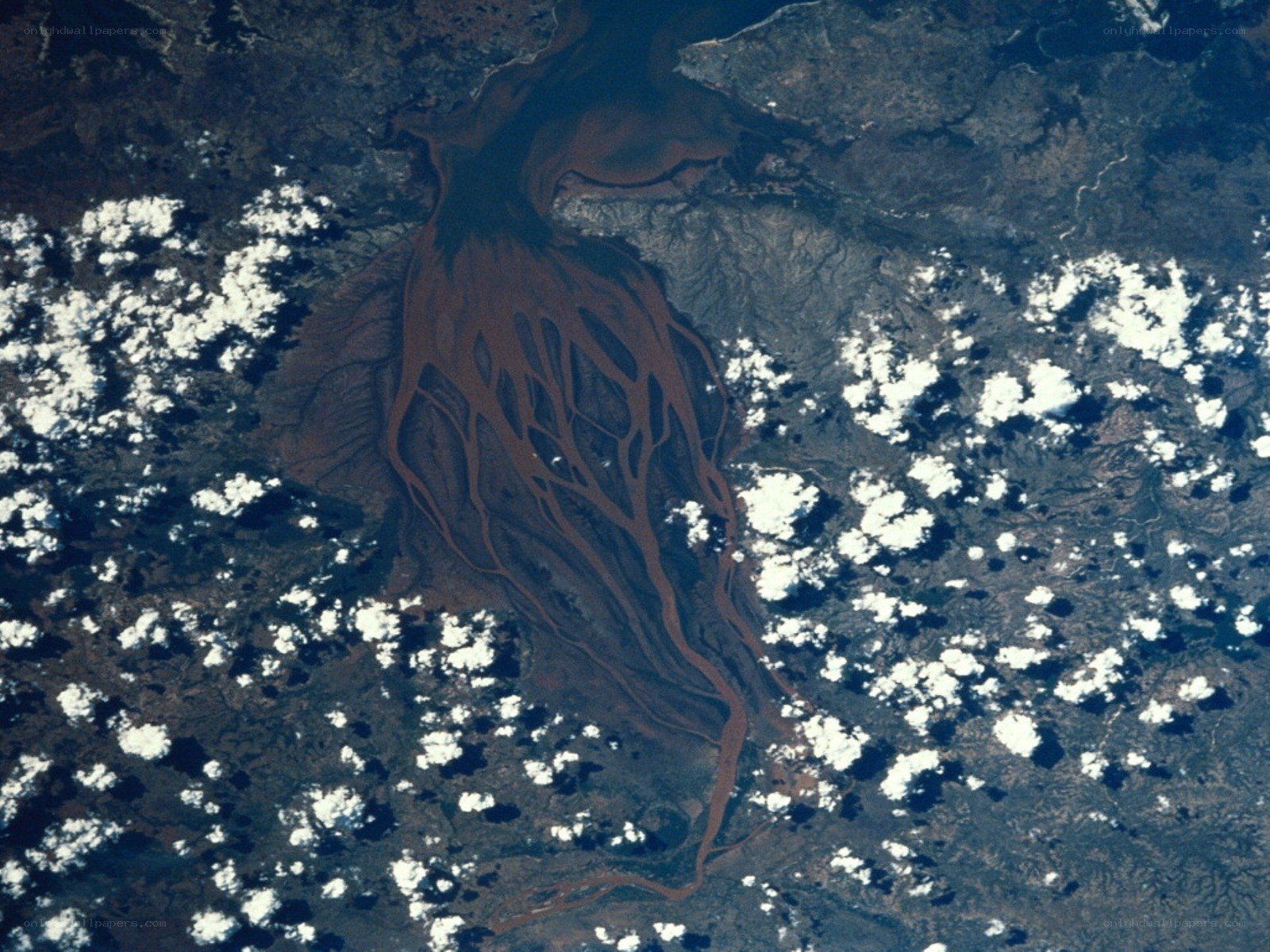 Amazon River Delta from Space