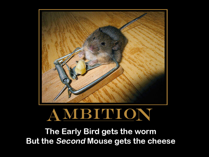 ambition and the mouse trap