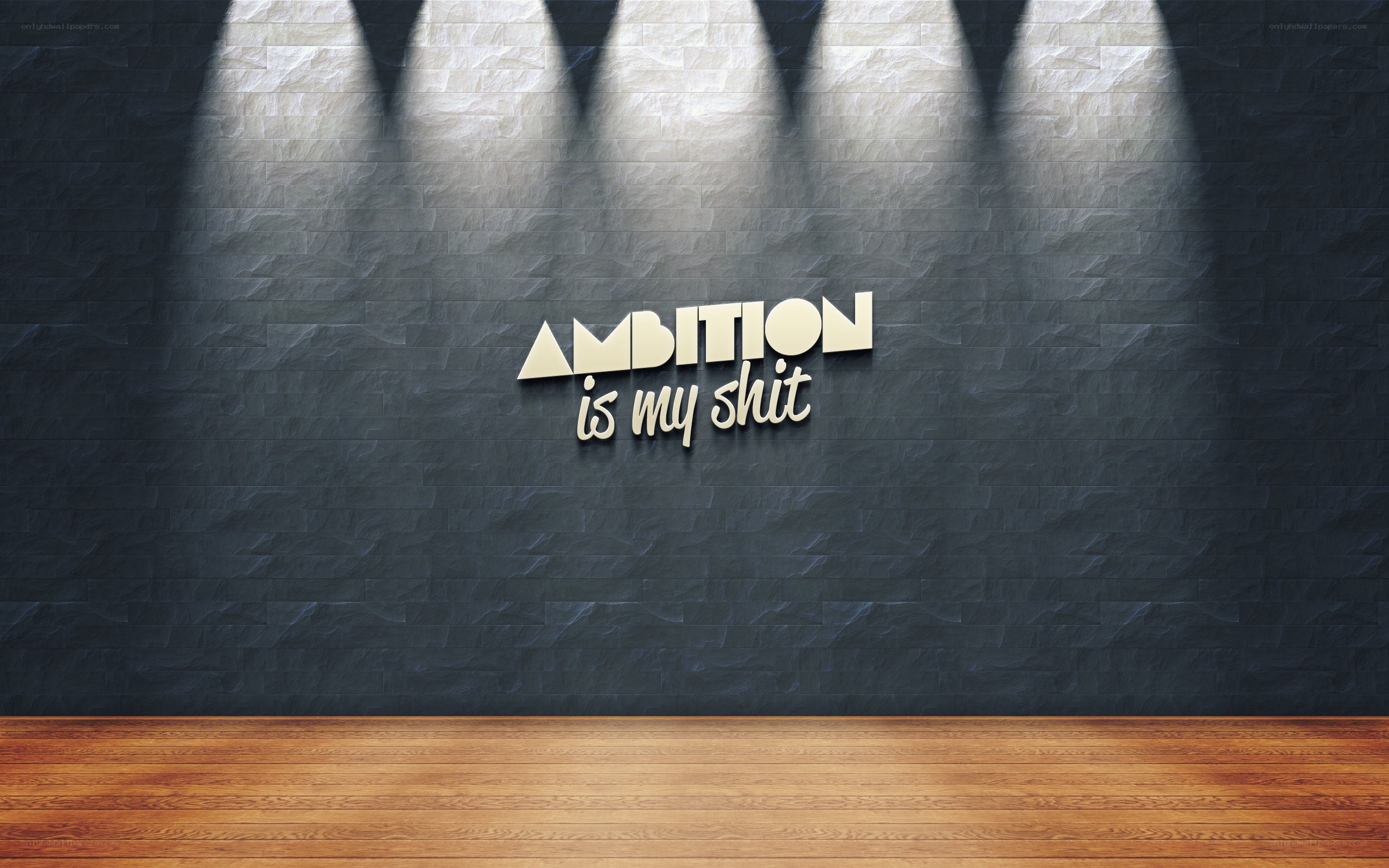 Ambition is my shit