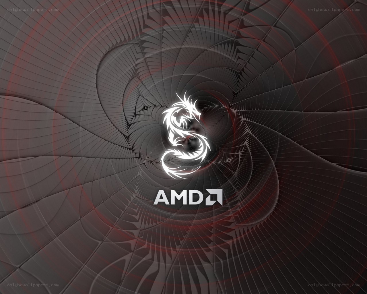 AMD Dragon Logo Background