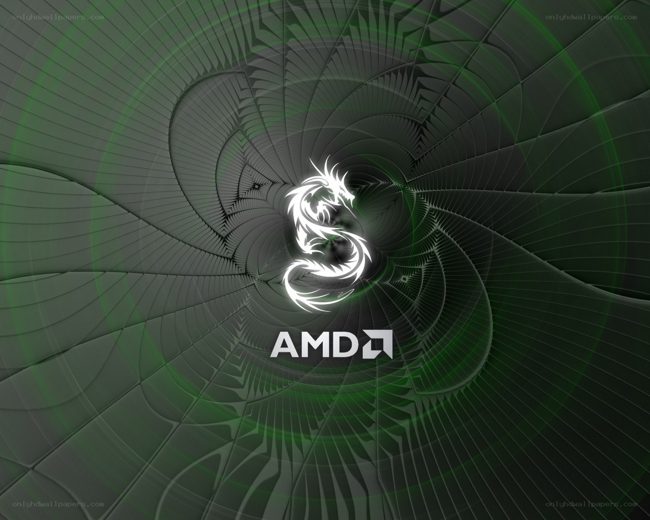 AMD Dragon Logo Wallpaper