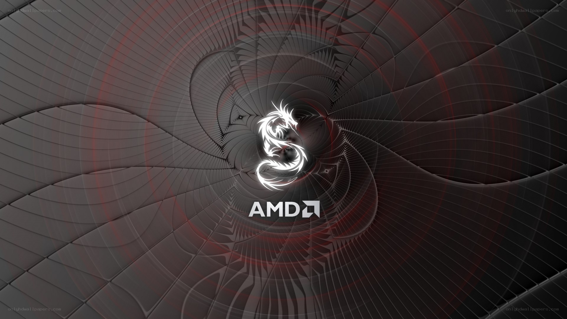 AMD logo on abstract background
