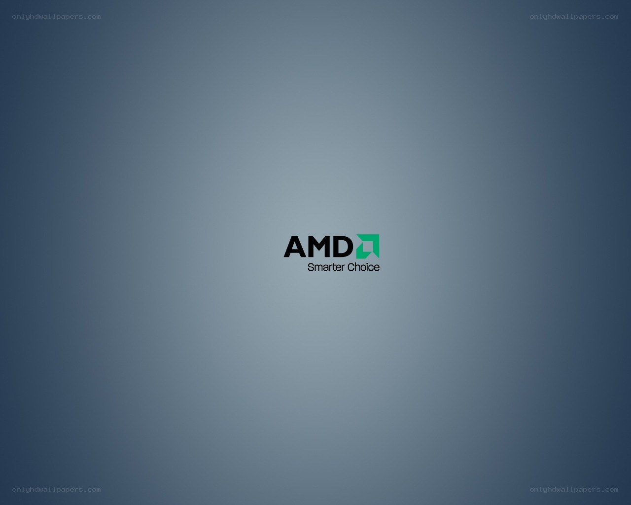 AMD logo on blue background