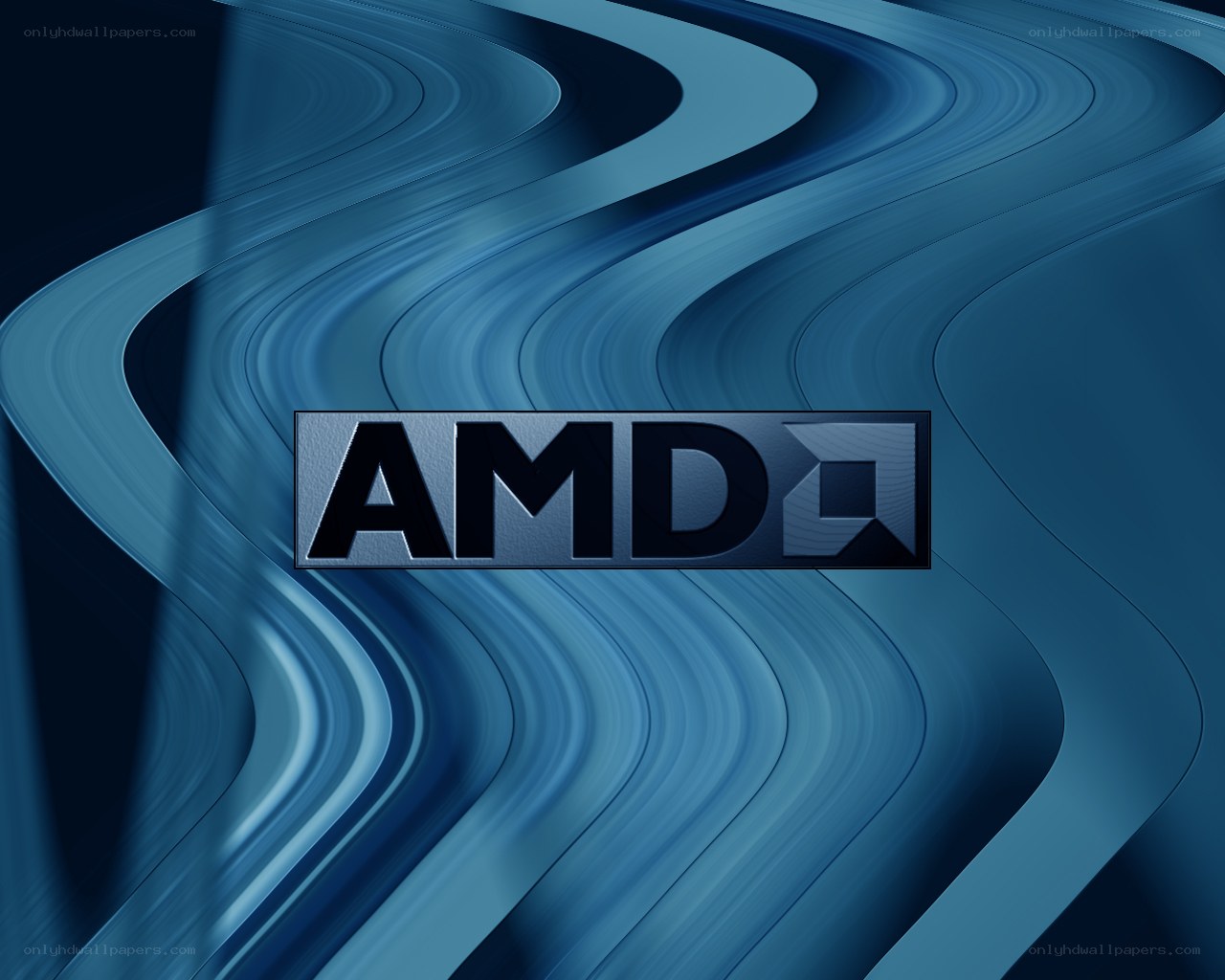AMD logo on blue waves