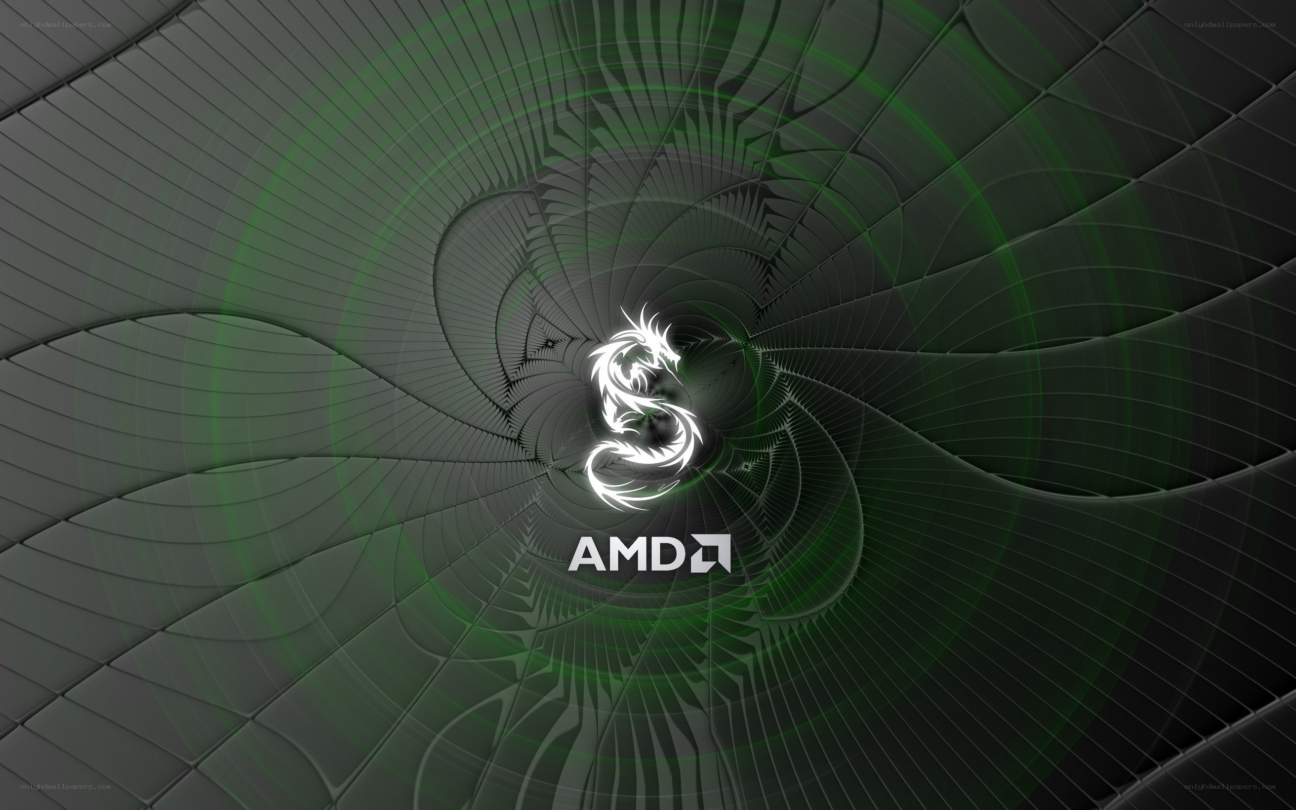 AMD logo with dragon design