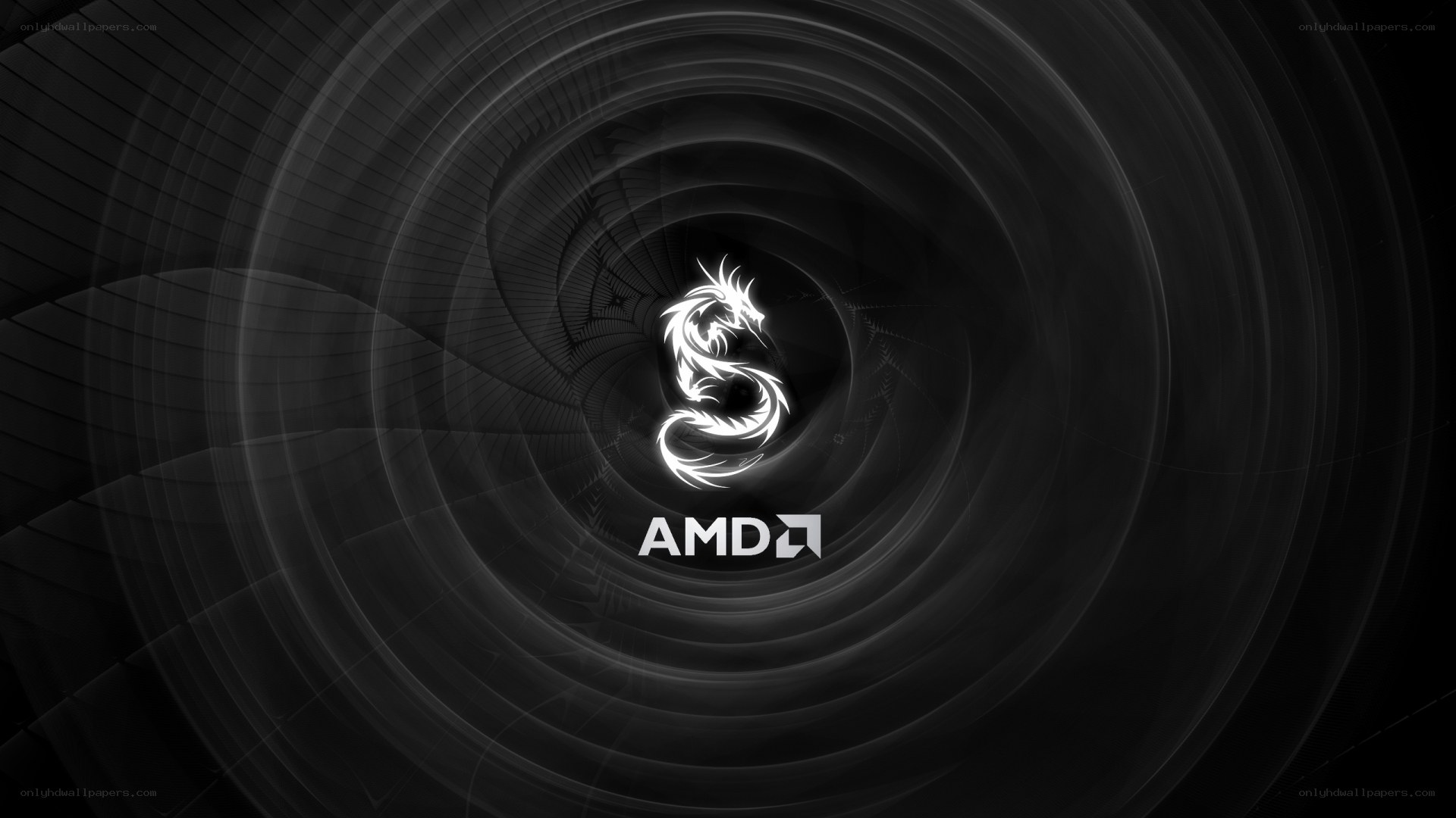 AMD logo with dragon design