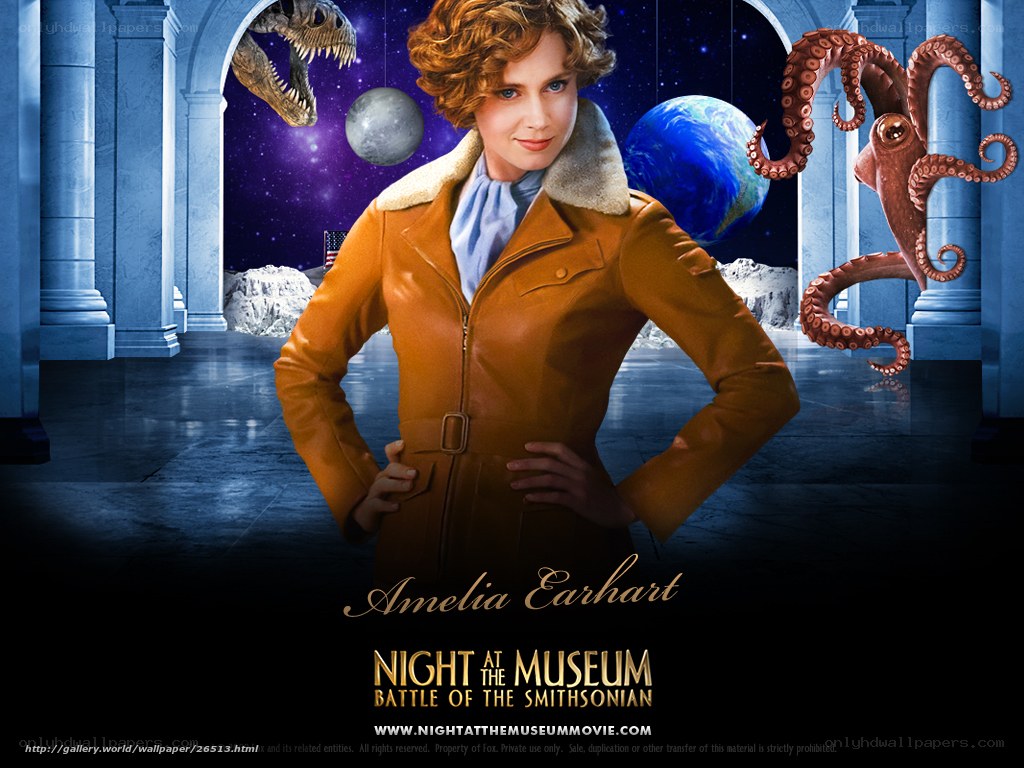 Amelia Earhart in museum battle