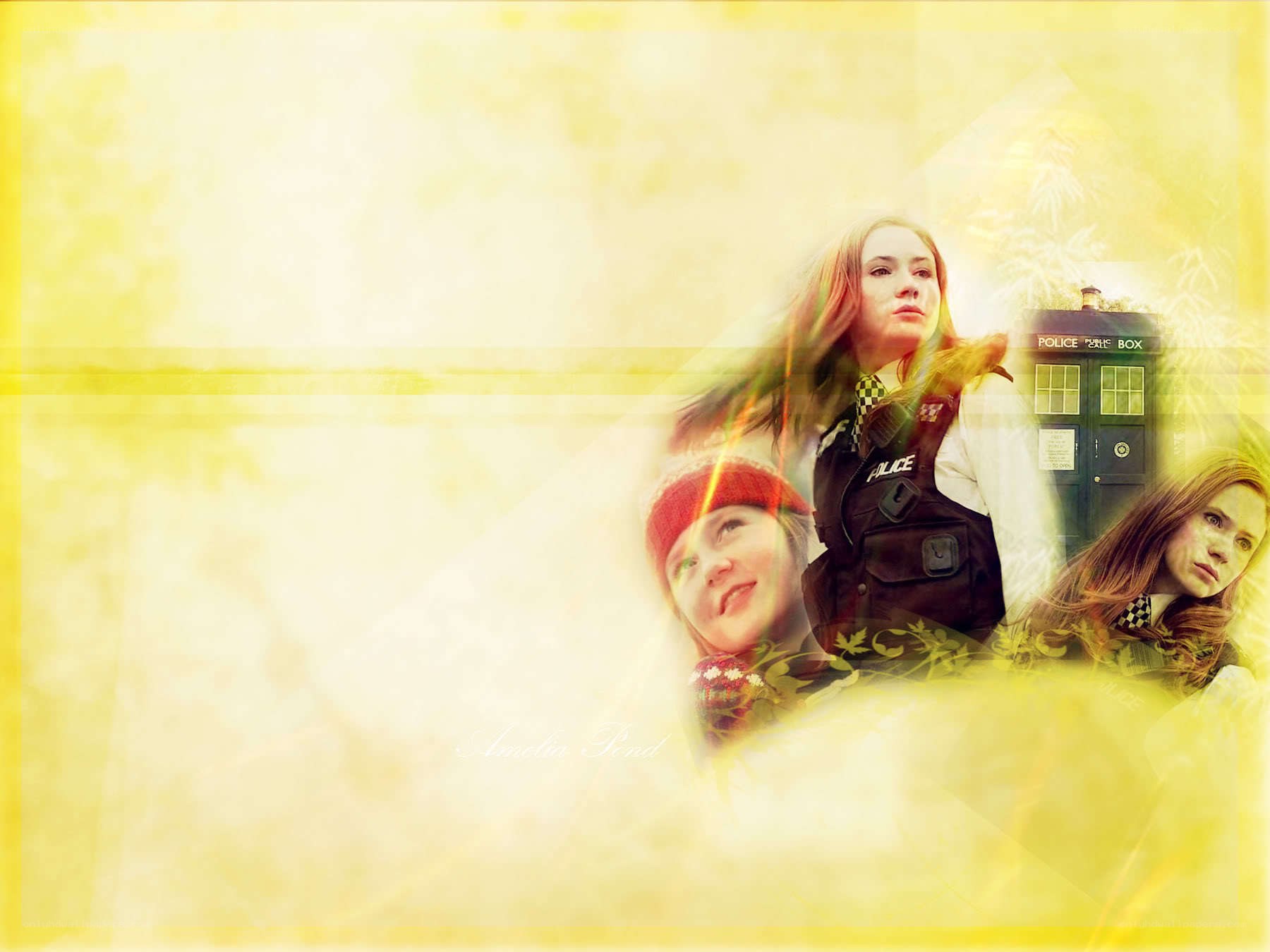 Amelia Pond and the TARDIS