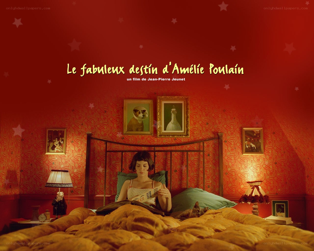 Amelie's Fabulous Destiny
