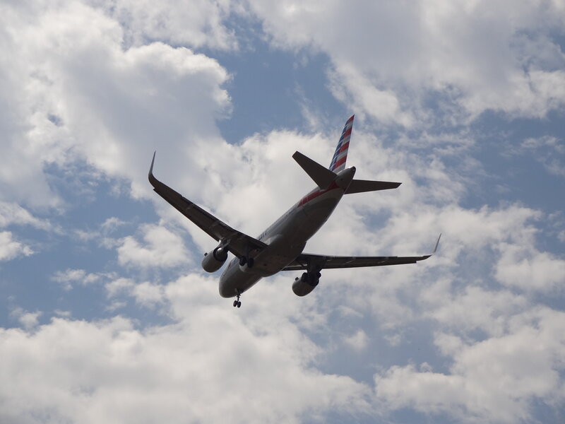 American Airlines Airplane — Blue, Dynamic