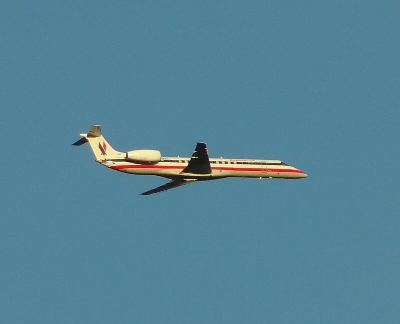 American Airlines Jet — Blue, Calm