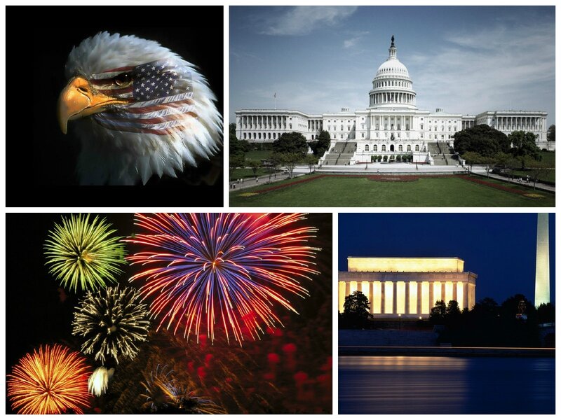 American Bald Eagle — Red, Patriotic