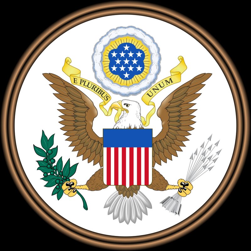American Bald Eagle — White
