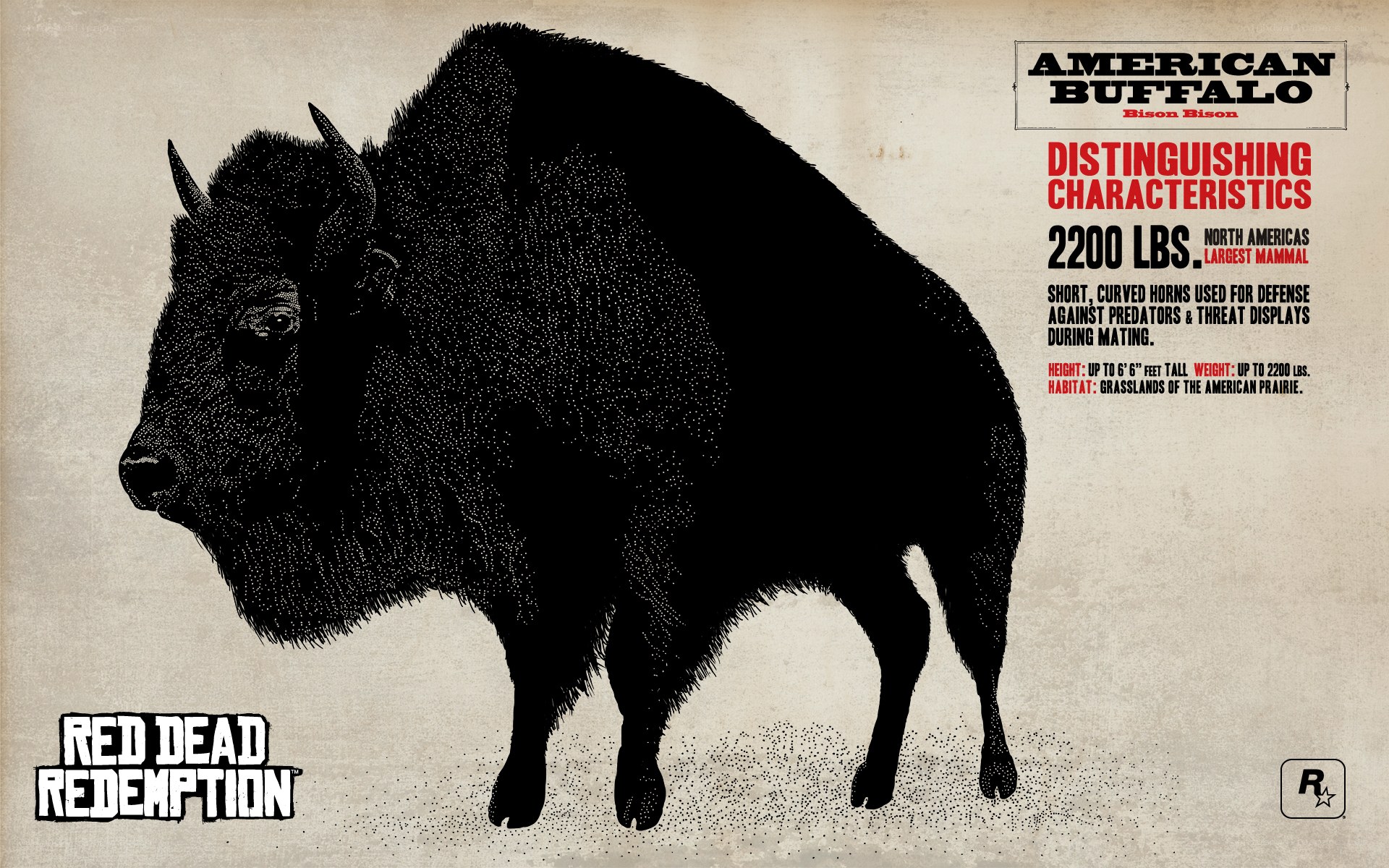 American Buffalo Info Graphic