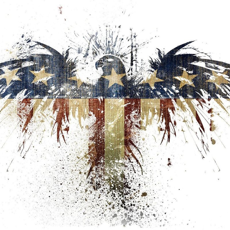 American eagle with flag design
