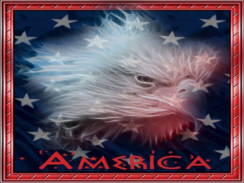 American eagle with flag