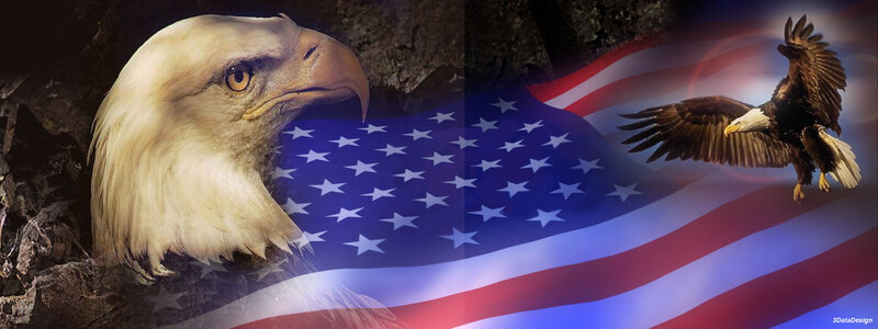 American flag and bald eagle