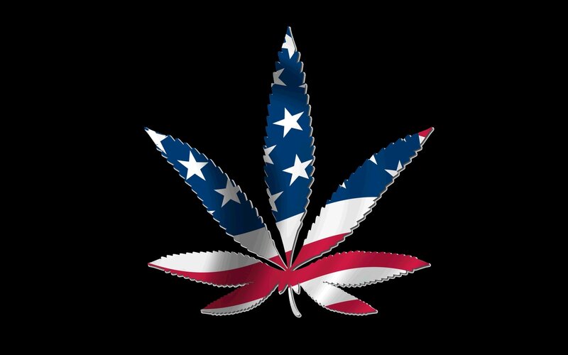 American flag cannabis leaf