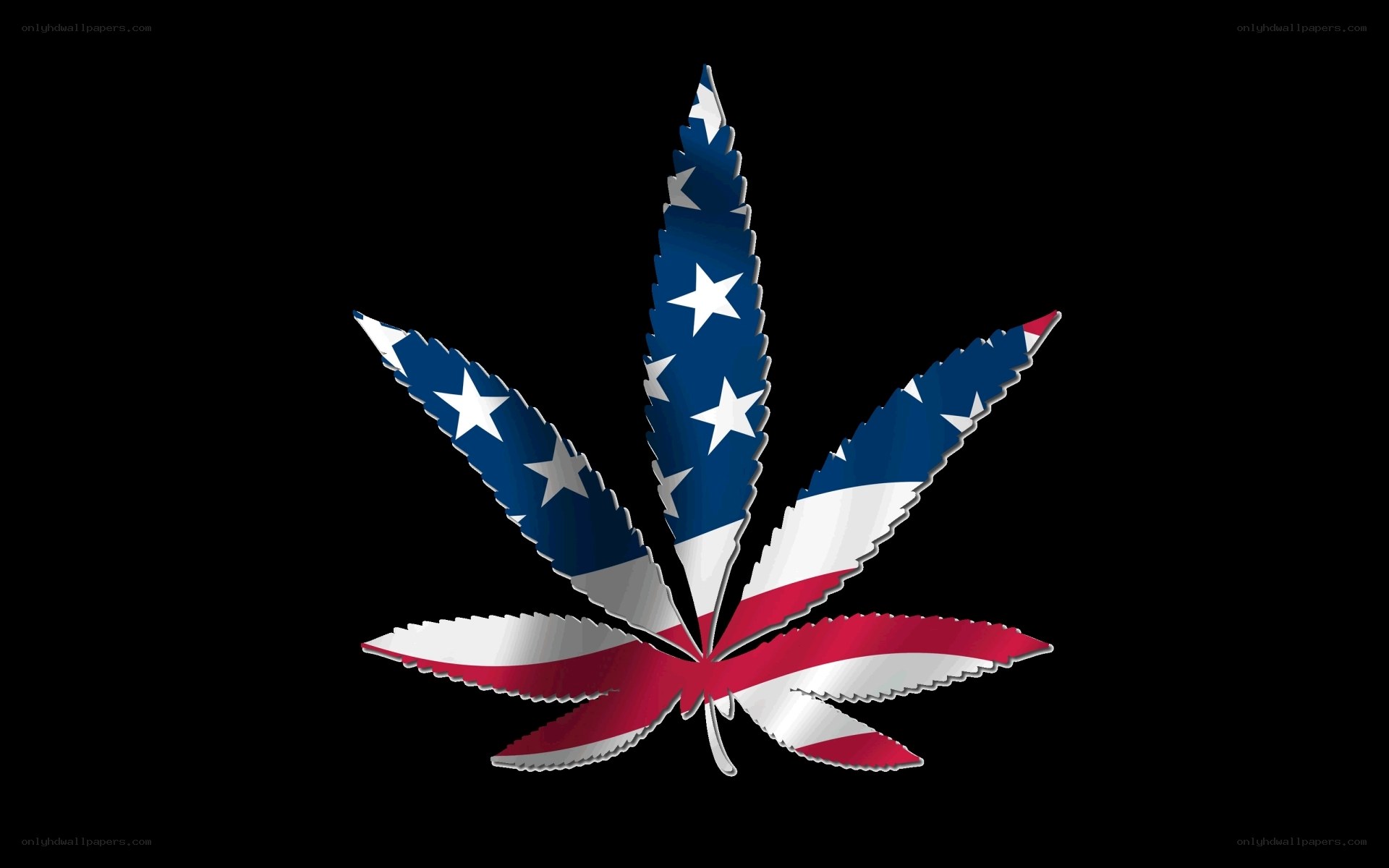 American flag cannabis leaf