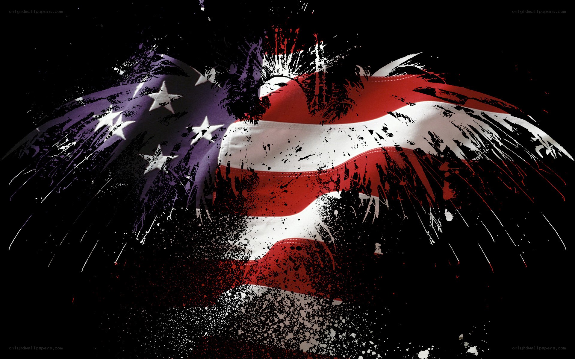 American flag eagle art