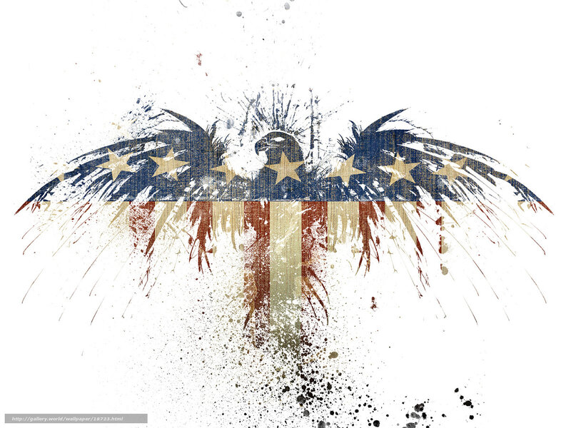 American flag eagle art