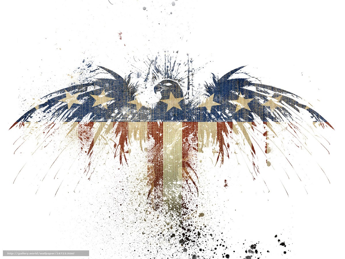 American flag eagle art