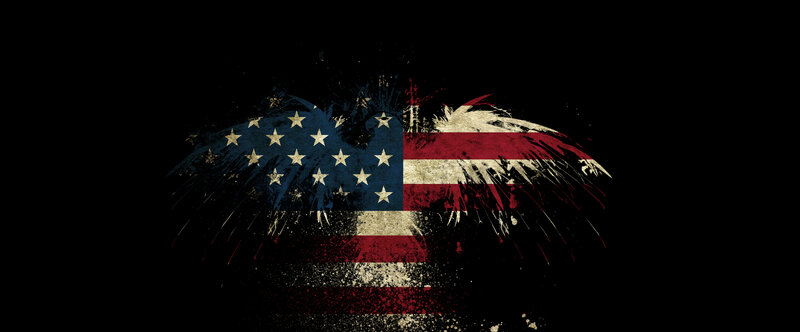 American Flag Eagle — Black, Dramatic