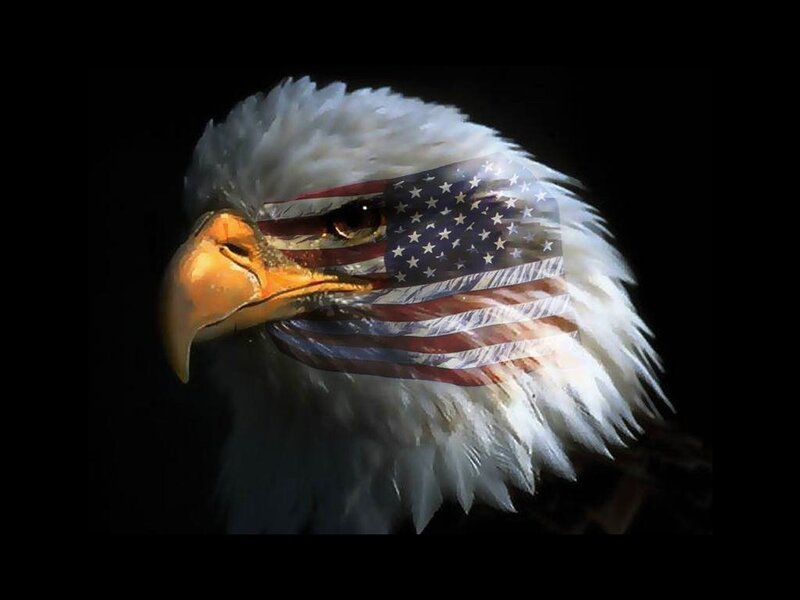American flag eagle head