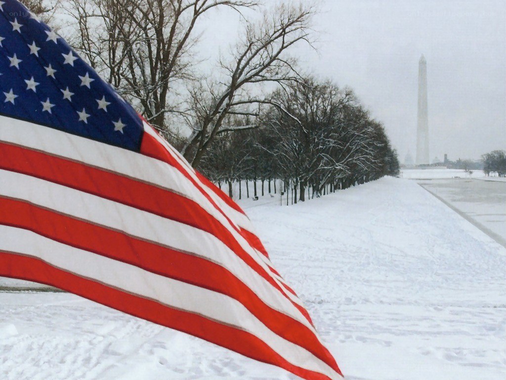 American flag in snow
