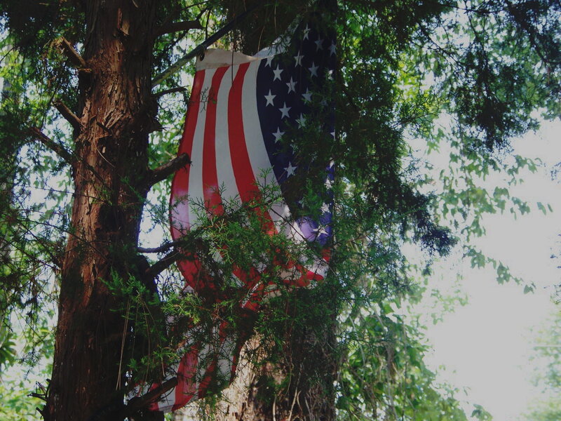 American Flag in Tree