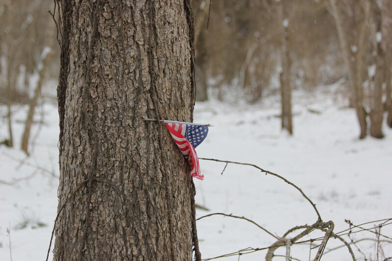 American Flag on Tree