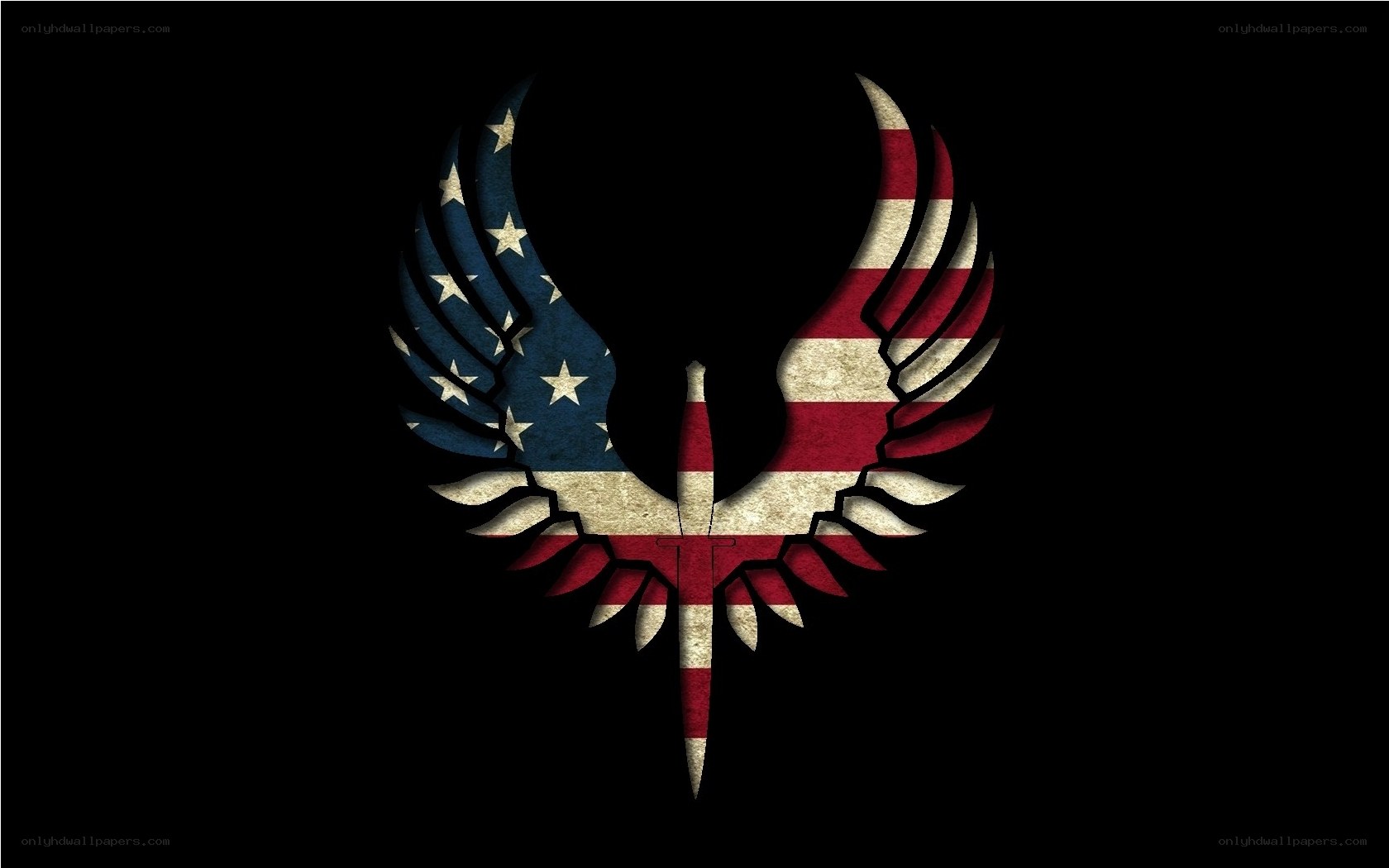 American flag wings logo