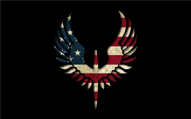 American Flag Wings