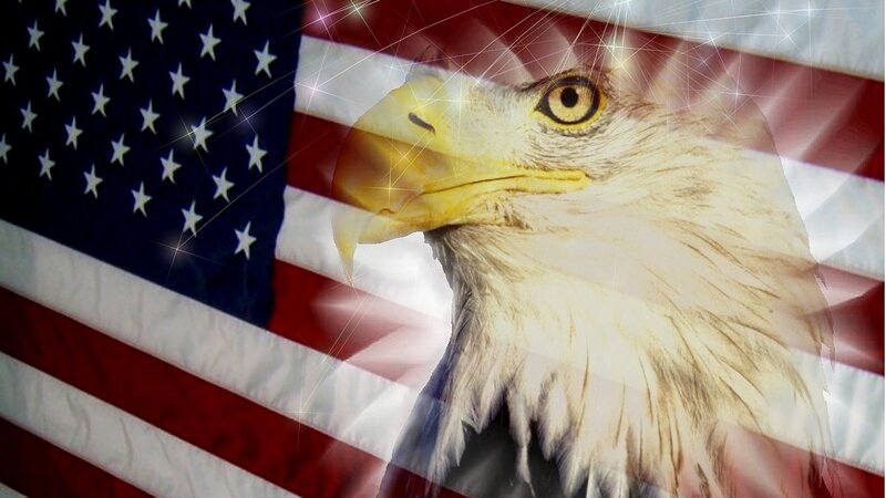 American flag with bald eagle