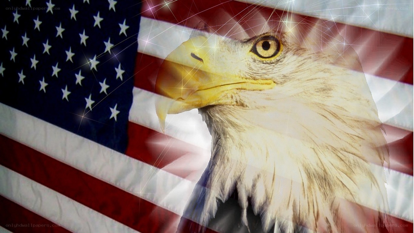 American flag with bald eagle