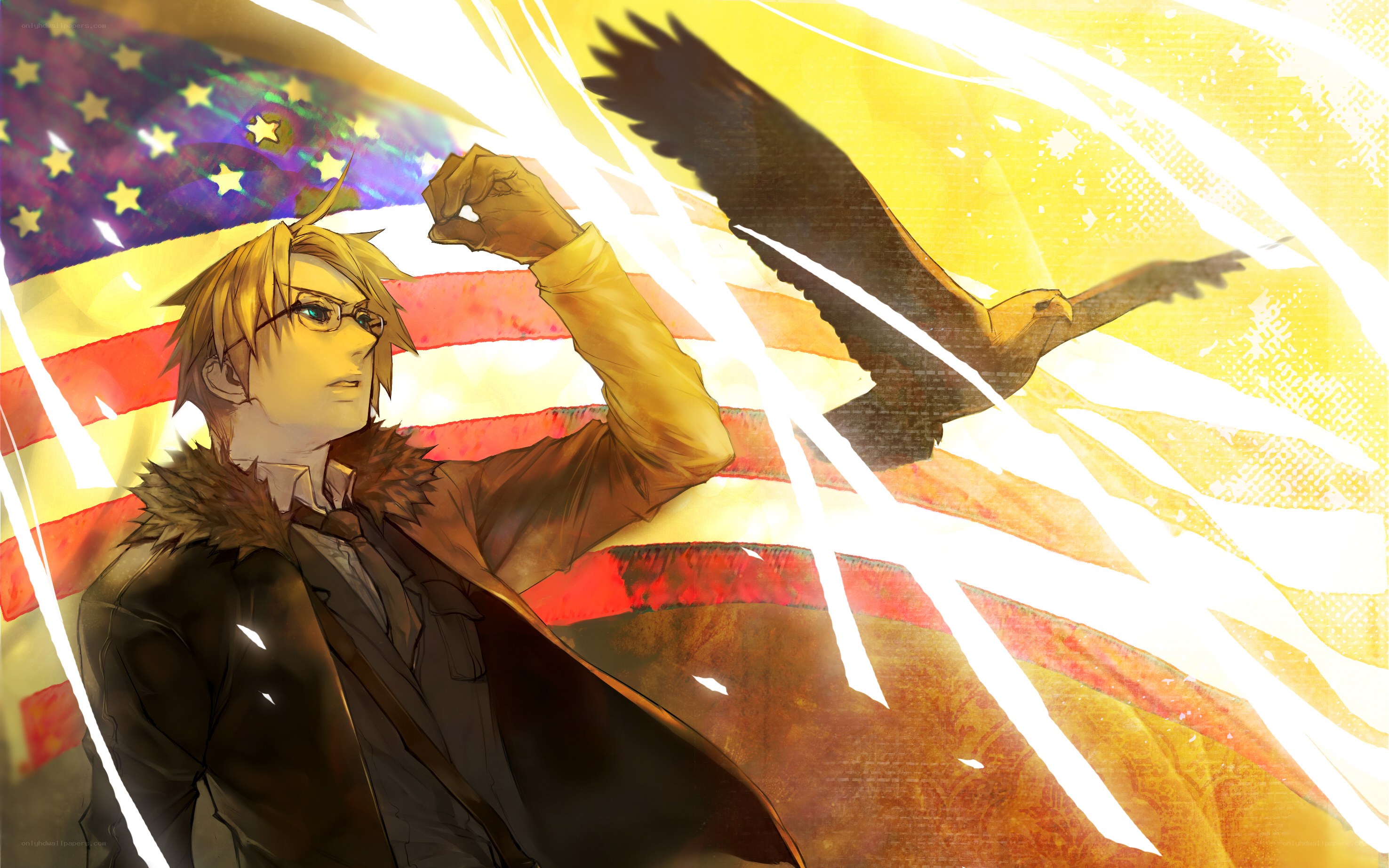 American flag with eagle and character