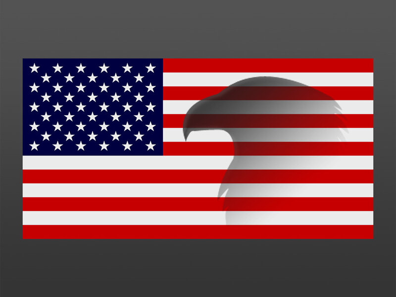 American flag with eagle silhouette