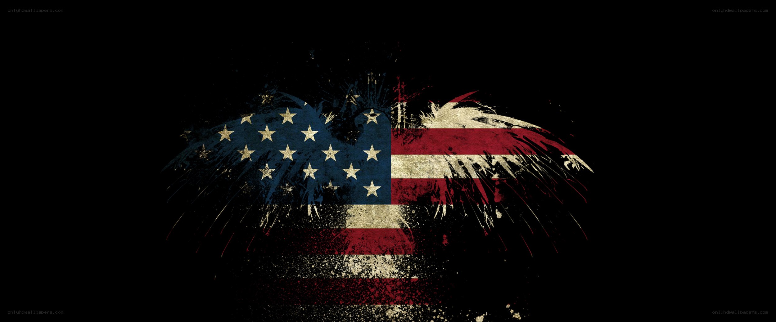 American flag with eagle wings