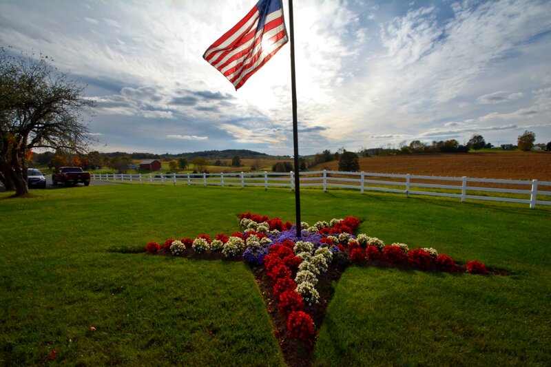 American Flag with Flower Star