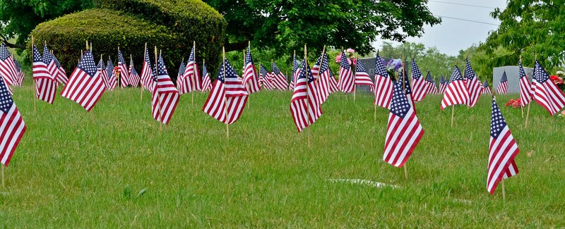 American Flags in a Field