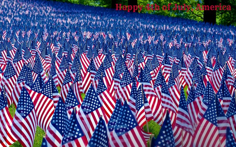 American Flags in Field — Red